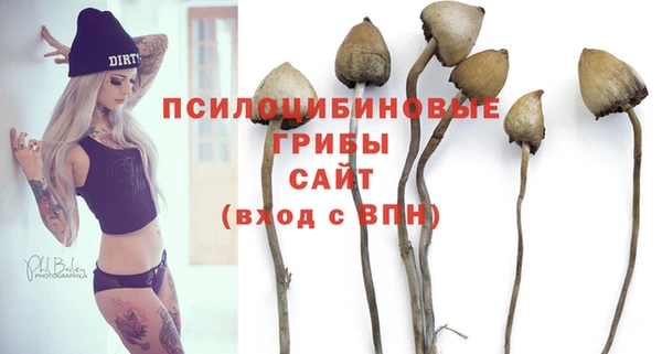 a pvp Надым