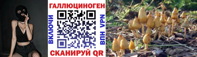 где найти наркотики mega ссылки Псилоцибиновые грибы прущие грибы Пестово